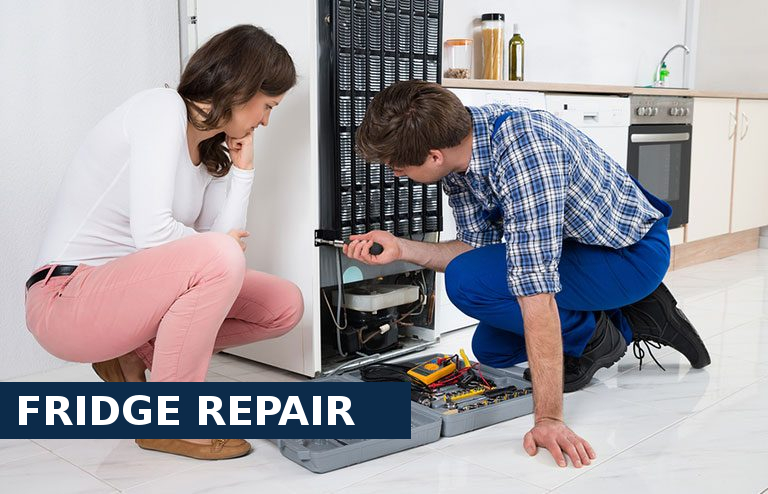 Fridge Repair Erith Marshes